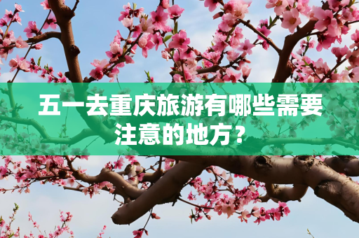 五一去重庆旅游有哪些需要注意的地方？