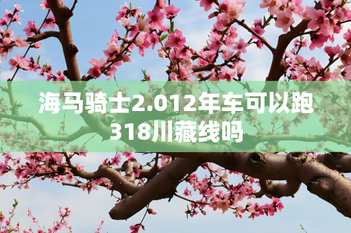 海马骑士2.012年车可以跑318川藏线吗