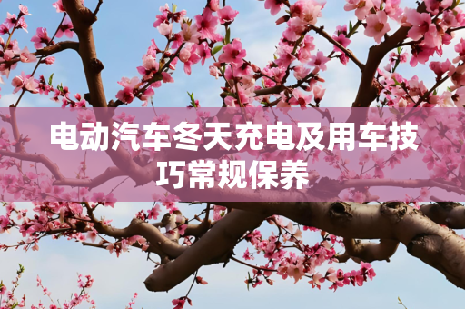 电动汽车冬天充电及用车技巧常规保养
