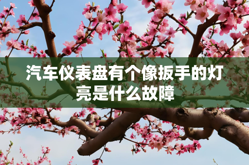 汽车仪表盘有个像扳手的灯亮是什么故障