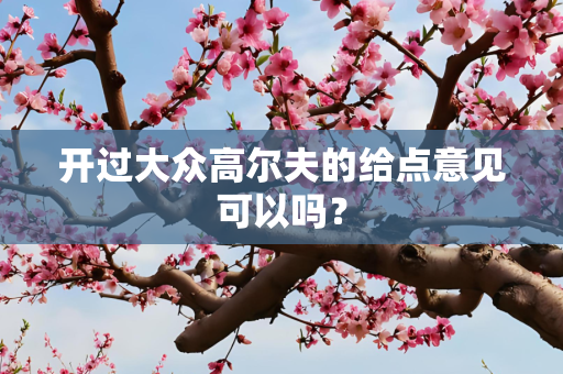 开过大众高尔夫的给点意见可以吗？
