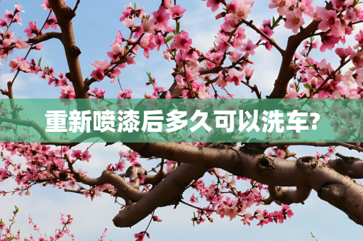 信息 第264页