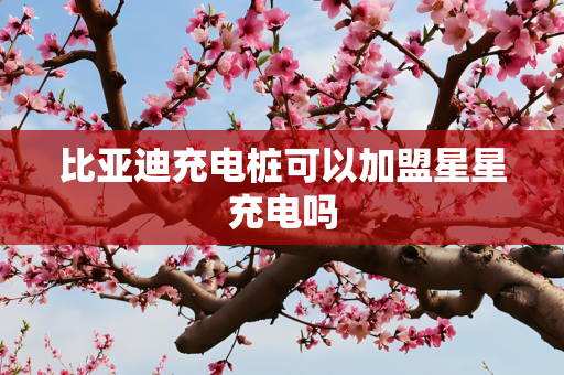 比亚迪充电桩可以加盟星星充电吗