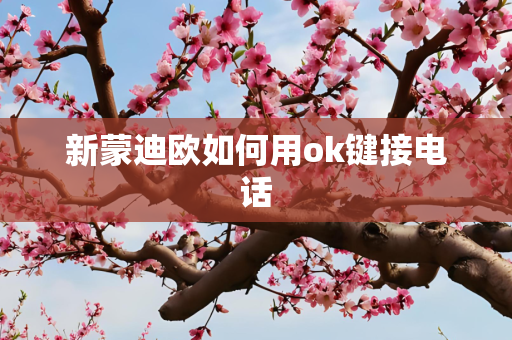 新蒙迪欧如何用ok键接电话