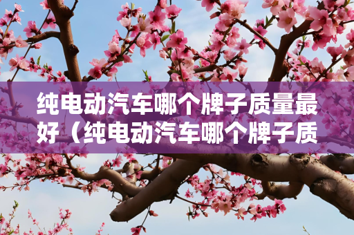 纯电动汽车哪个牌子质量最好（纯电动汽车哪个牌子质量最好SUv）