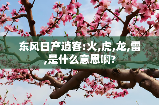 东风日产逍客:火,虎,龙,雷,是什么意思啊?