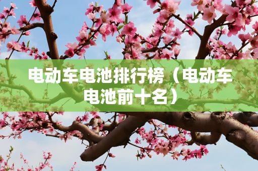 电动车电池排行榜（电动车电池前十名）