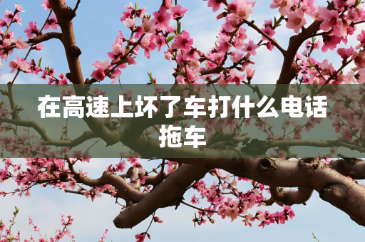 在高速上坏了车打什么电话拖车