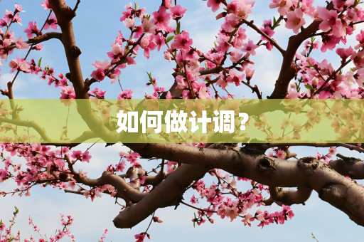 如何做计调？