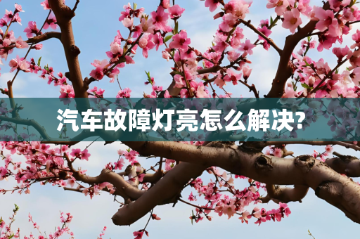 汽车故障灯亮怎么解决?