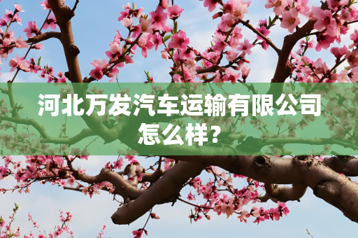 河北万发汽车运输有限公司怎么样？