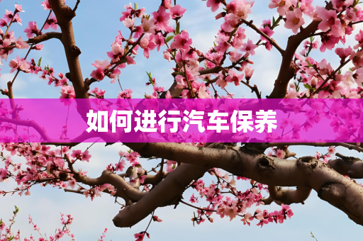 如何进行汽车保养