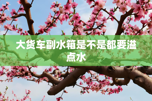 信息 第263页