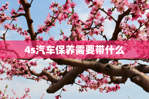 4s汽车保养需要带什么