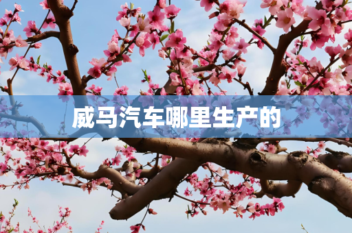 生活 第267页