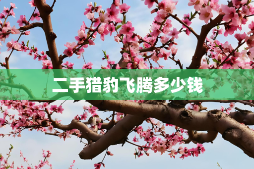 二手猎豹飞腾多少钱