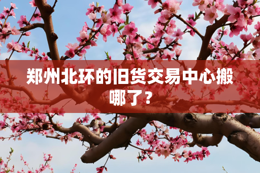 郑州北环的旧货交易中心搬哪了？