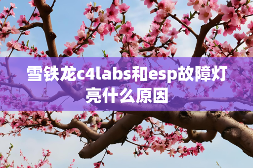 雪铁龙c4labs和esp故障灯亮什么原因