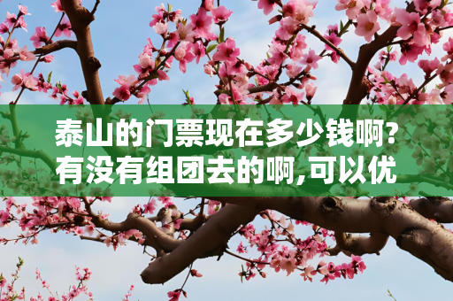 泰山的门票现在多少钱啊?有没有组团去的啊,可以优惠的..