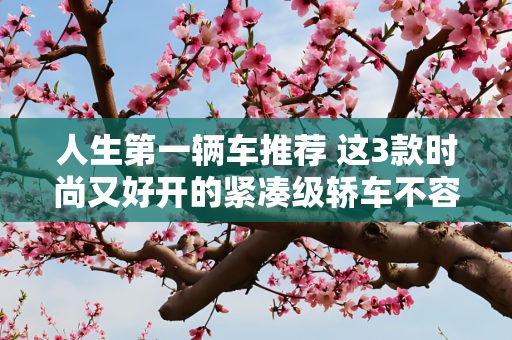 人生第一辆车推荐 这3款时尚又好开的紧凑级轿车不容错过