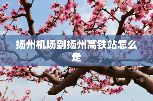 扬州机场到扬州高铁站怎么走