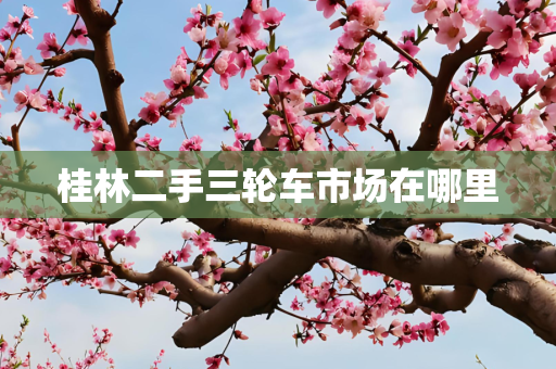 桂林二手三轮车市场在哪里