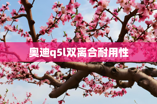 奥迪q5l双离合耐用性