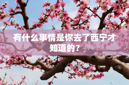 有什么事情是你去了西宁才知道的？