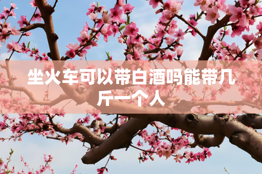 坐火车可以带白酒吗能带几斤一个人