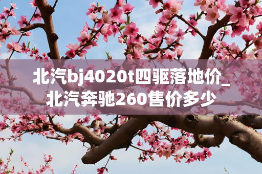 北汽bj4020t四驱落地价_北汽奔驰260售价多少