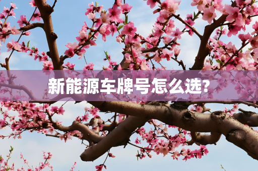 新能源车牌号怎么选?