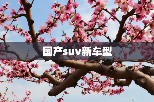 国产suv新车型