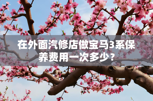 在外面汽修店做宝马3系保养费用一次多少？