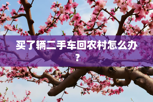 买了辆二手车回农村怎么办？