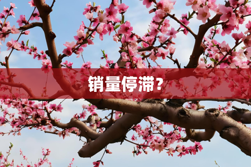 销量停滞？