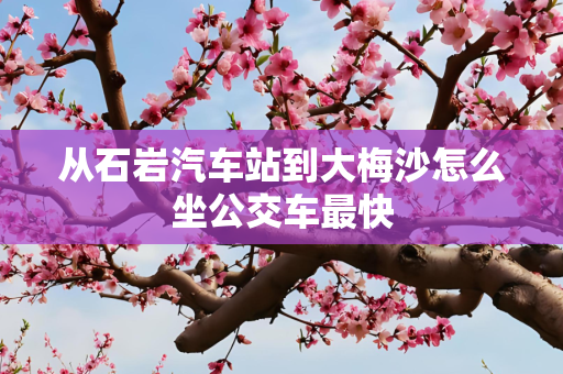 从石岩汽车站到大梅沙怎么坐公交车最快