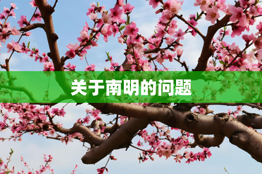 关于南明的问题