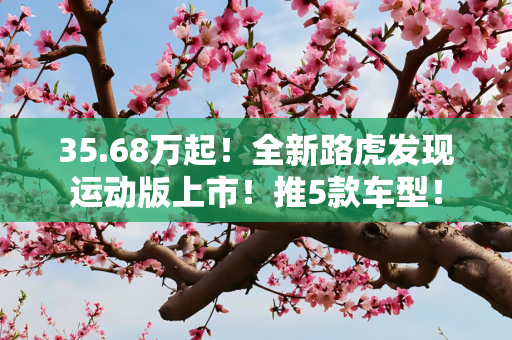 35.68万起！全新路虎发现运动版上市！推5款车型！