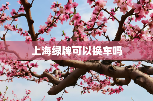 上海绿牌可以换车吗