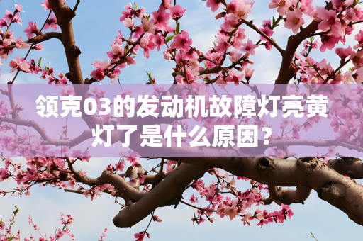 领克03的发动机故障灯亮黄灯了是什么原因？
