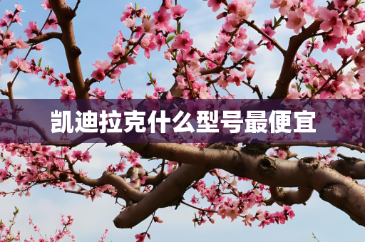 凯迪拉克什么型号最便宜