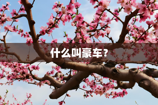 什么叫豪车？