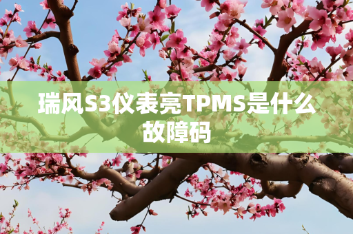 瑞风S3仪表亮TPMS是什么故障码