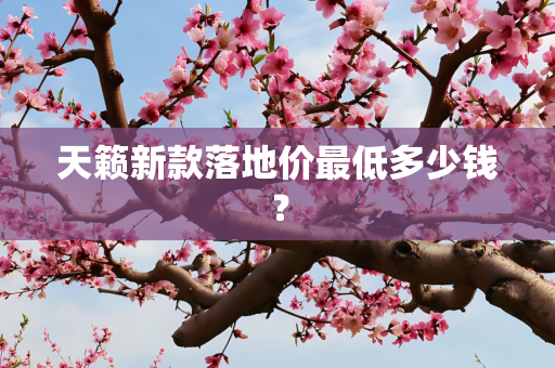 天籁新款落地价最低多少钱？