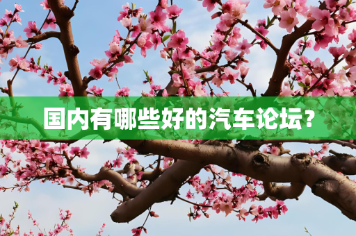 国内有哪些好的汽车论坛？