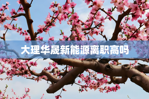 大理华晟新能源离职高吗