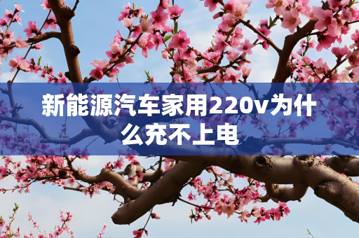 新能源汽车家用220v为什么充不上电