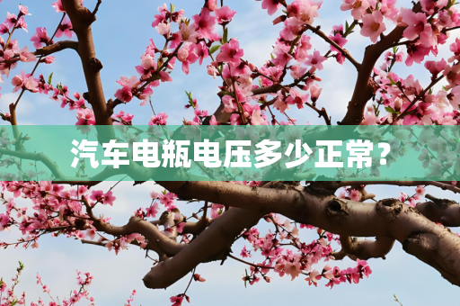 汽车电瓶电压多少正常？