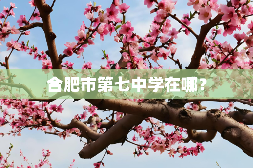 合肥市第七中学在哪？