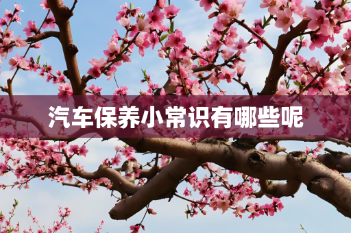 汽车保养小常识有哪些呢